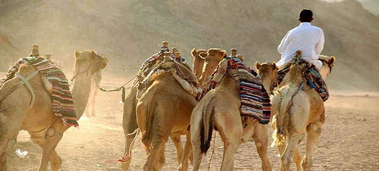 sharm el sheikh tours