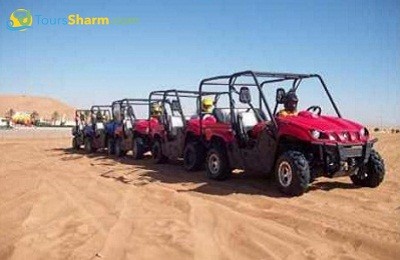 Rhino Safari Tour Sharm el-Sheikh