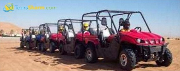 Rhino Safari Tour Sharm el-Sheikh