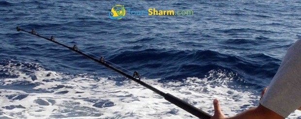 Fishing in Red Sea