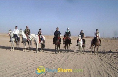 Horse riding in Sharm el-Sheikh desert