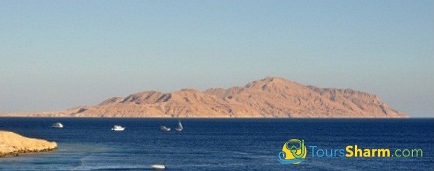 Tiran Island by Boat from Sharm El-Sheikh