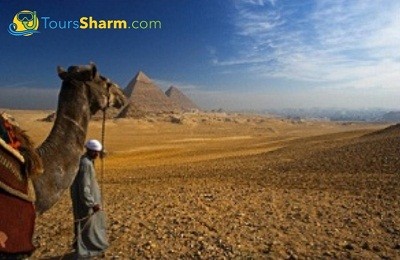 Cairo excursion by bus from sharm