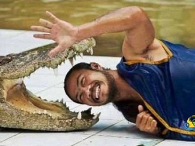 crocodile and snakes show in sharm el-sheikh