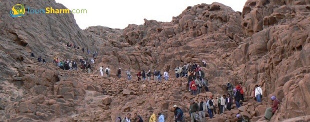 Moses Mountain excursion from Sharm el-Sheikh