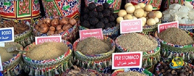 City tour Sharm el-Sheikh excursions