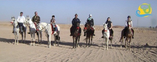 Horse riding in the desert of Sharm El-Sheikh