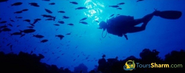 Advanced Scuba Diving Sharm El-Sheikh