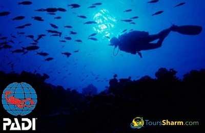 PADI Scuba Diving open water course