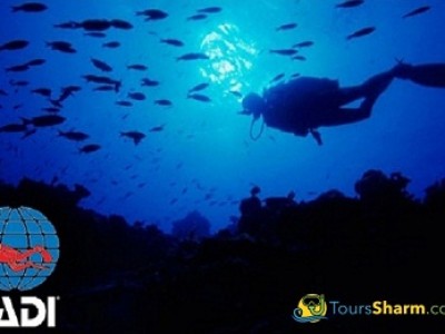 PADI Scuba Diving open water course