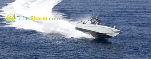 Speed Boat in Sharm El-Sheikh