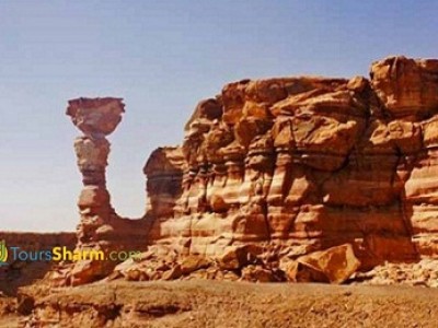 The Lost Land Adventure